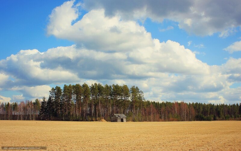 Field with cabin and forest