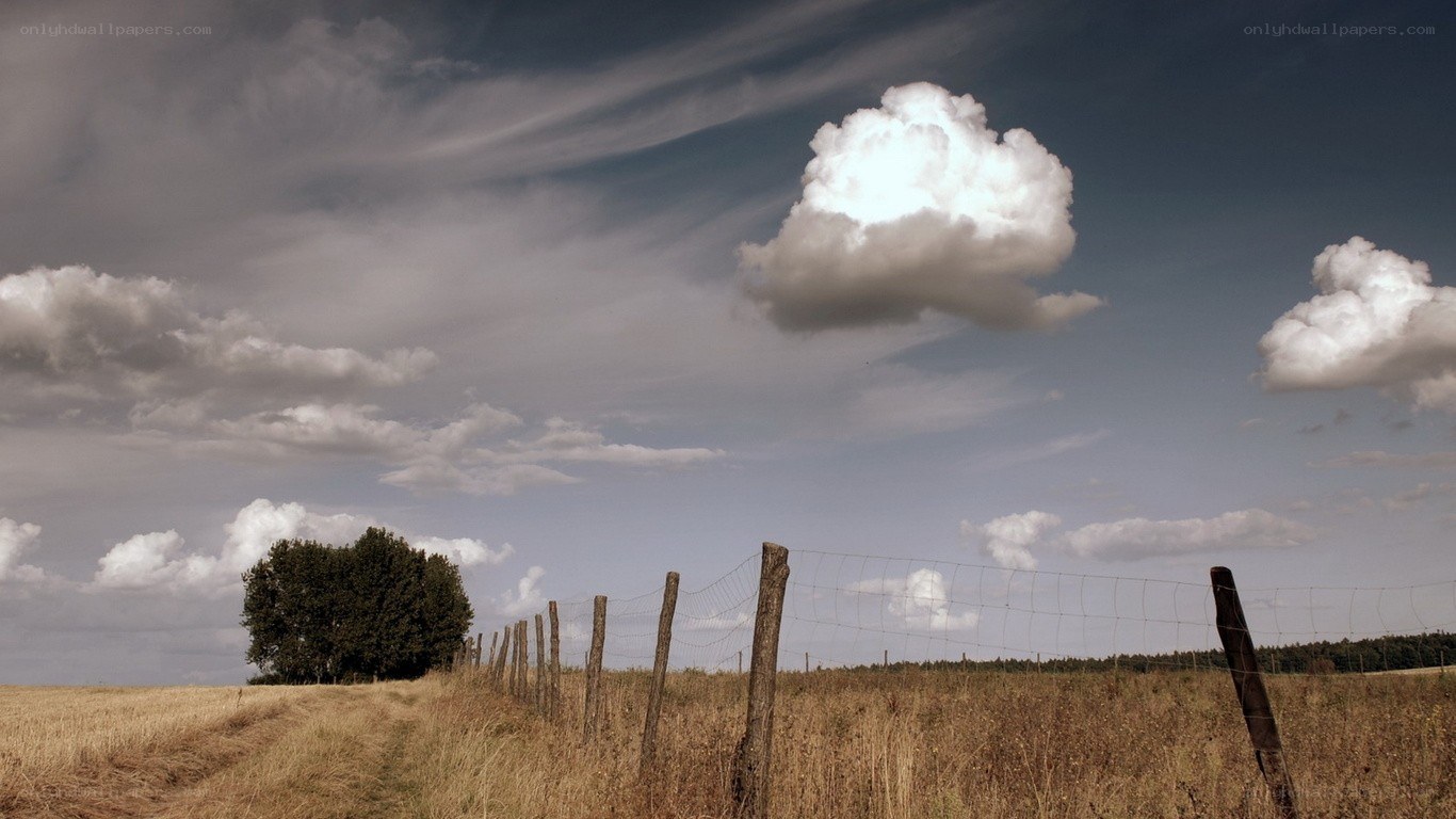 Field with fence and clouds