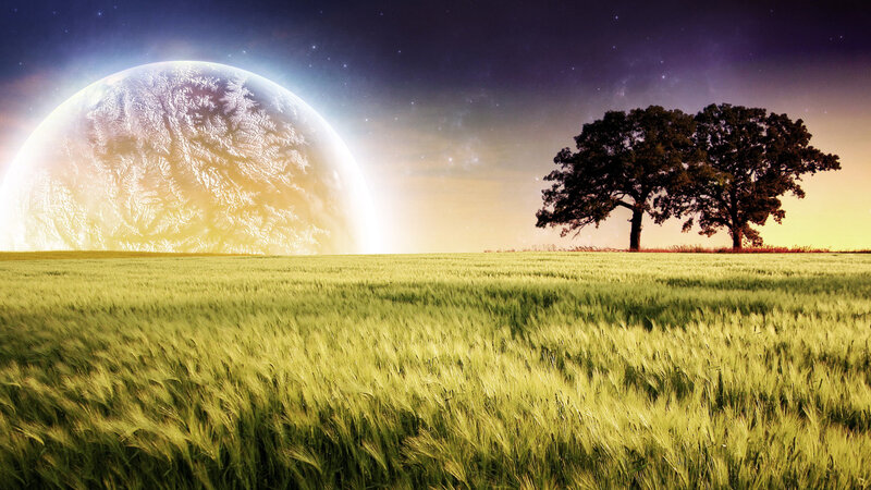 Field with giant planet and tree