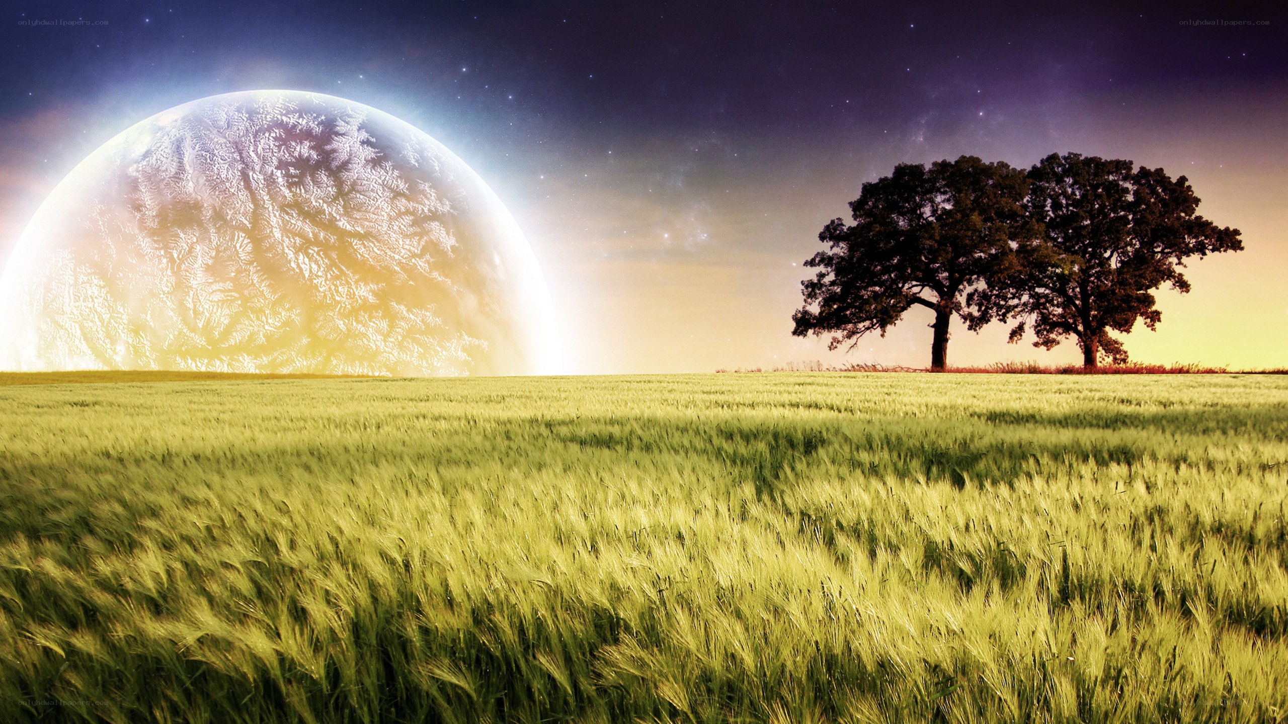 Field with giant planet and tree