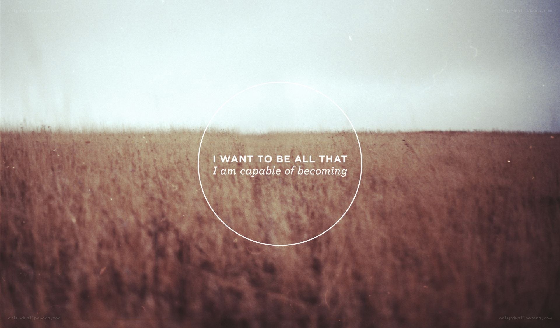 Field with inspirational quote