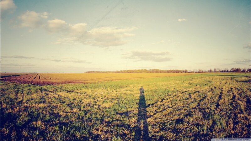 field with long shadow