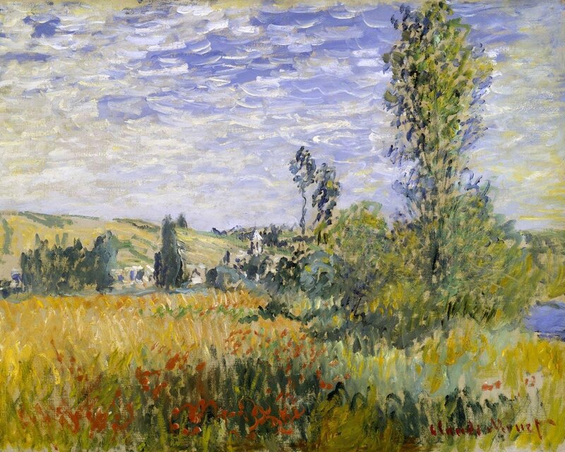 Field with poppies and trees