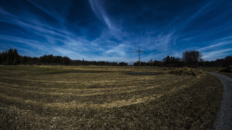 Field with Power Lines