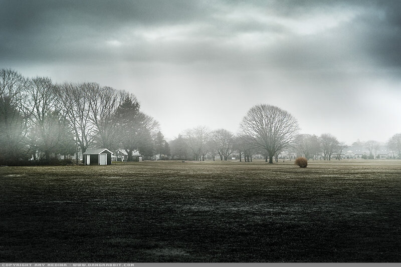 Field with Shed and Trees