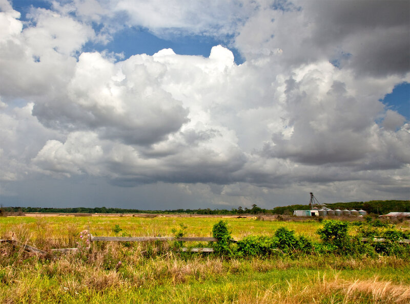 Field with Storm Clouds