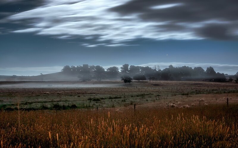 Field with Tall Grass