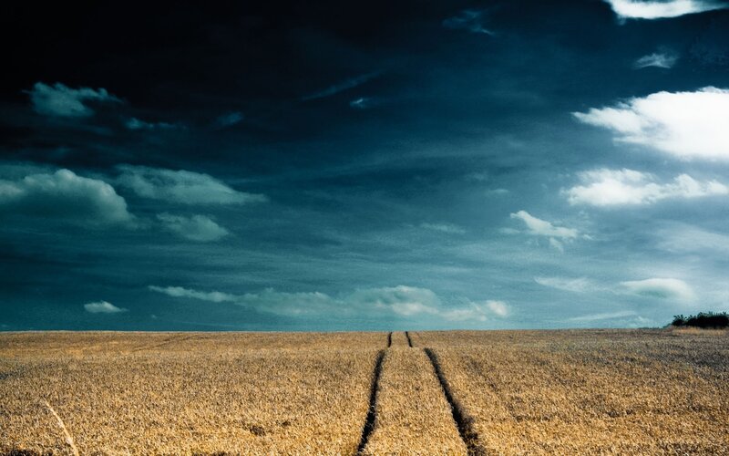 Field with Tractor Tracks