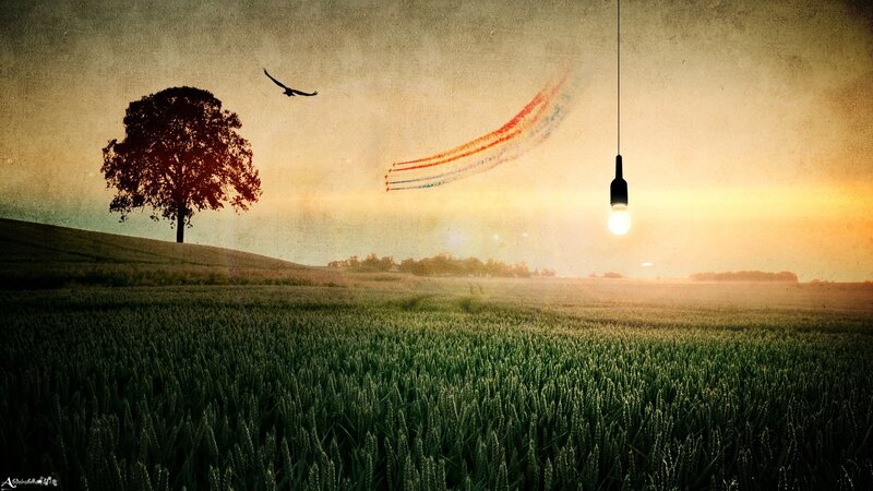 Field with tree and light bulb
