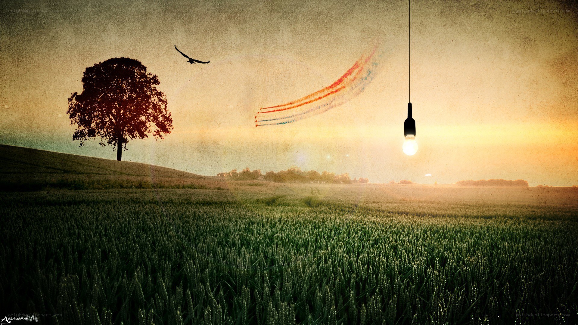 Field with tree and light bulb
