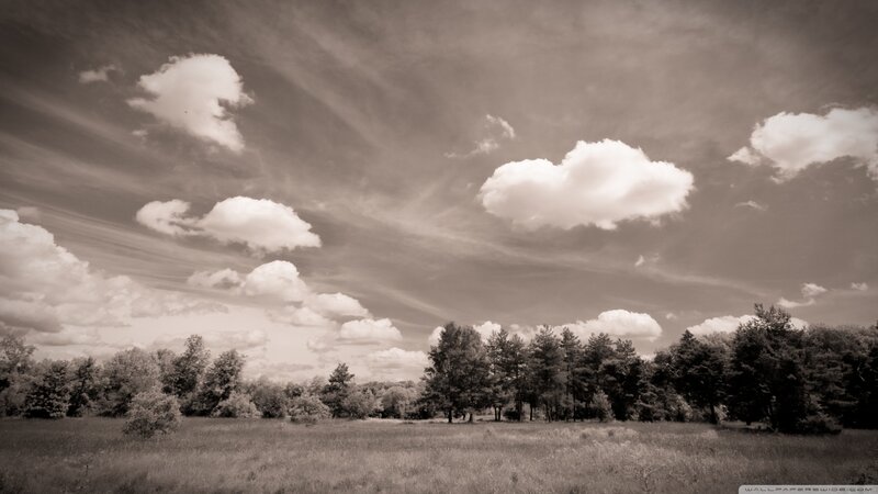 Field with Trees and Clouds — Brown