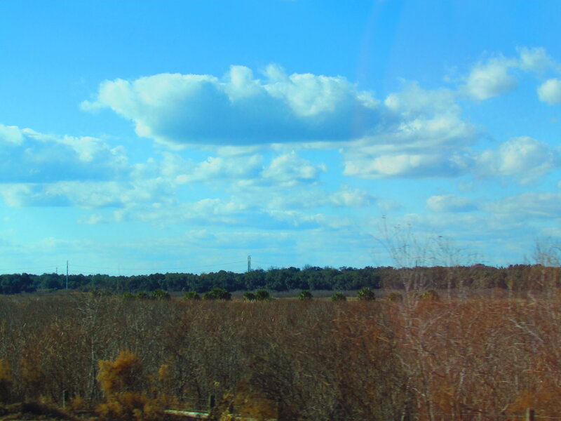 Field with Trees and Clouds