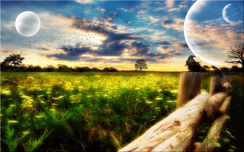 Field with Two Moons