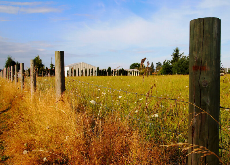 Field with Wooden Fence