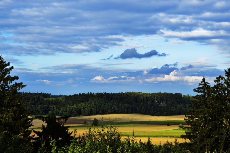 Fields and forest under cloudy sky
