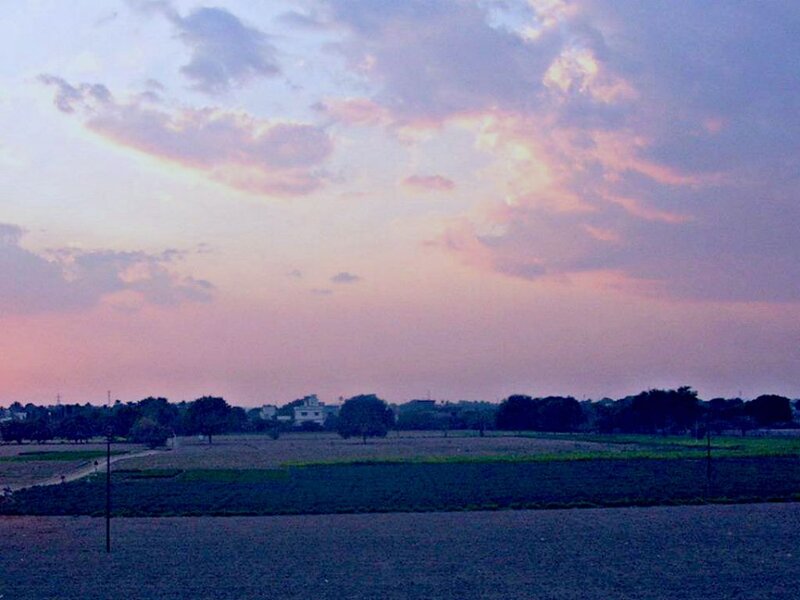Fields at Dusk