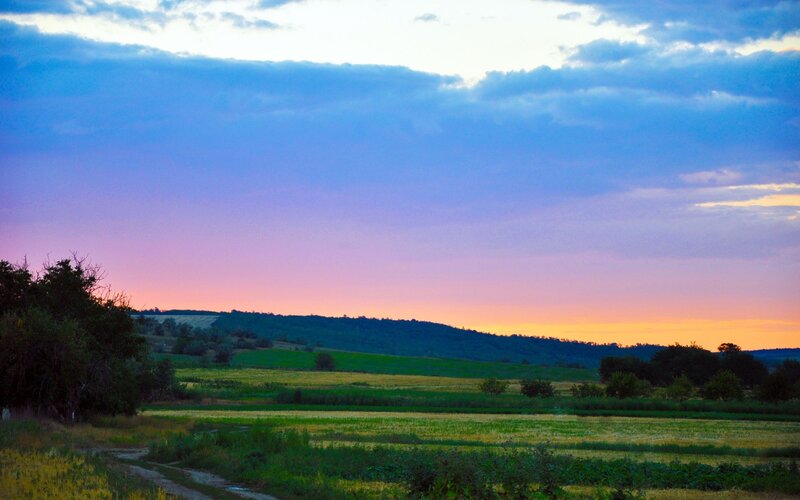 Fields at Sunset