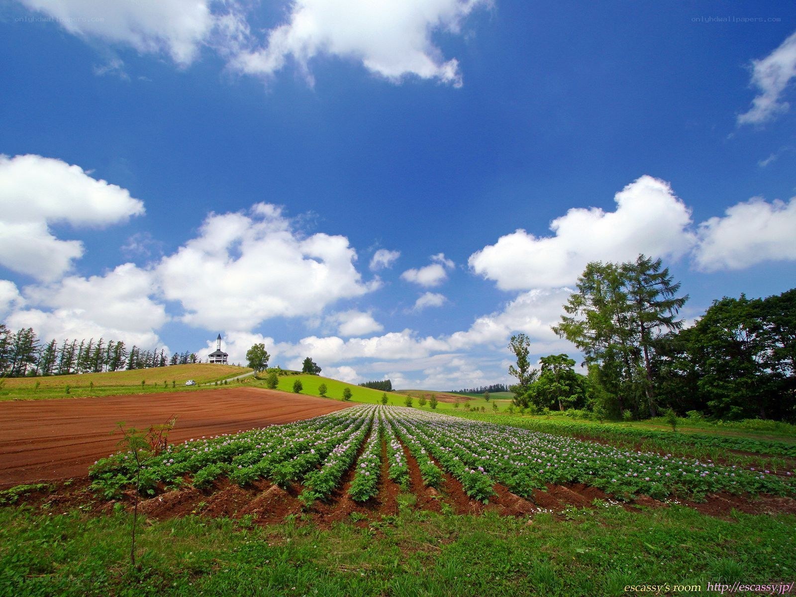 Fields under a blue sky