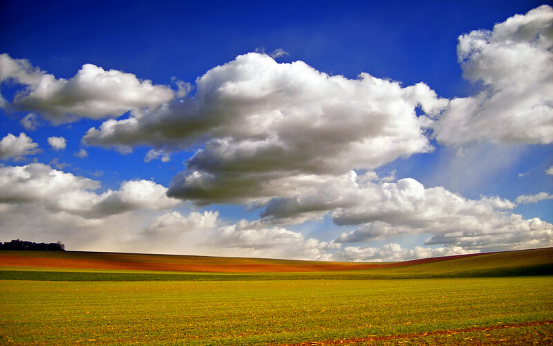 Fields under a cloudy sky