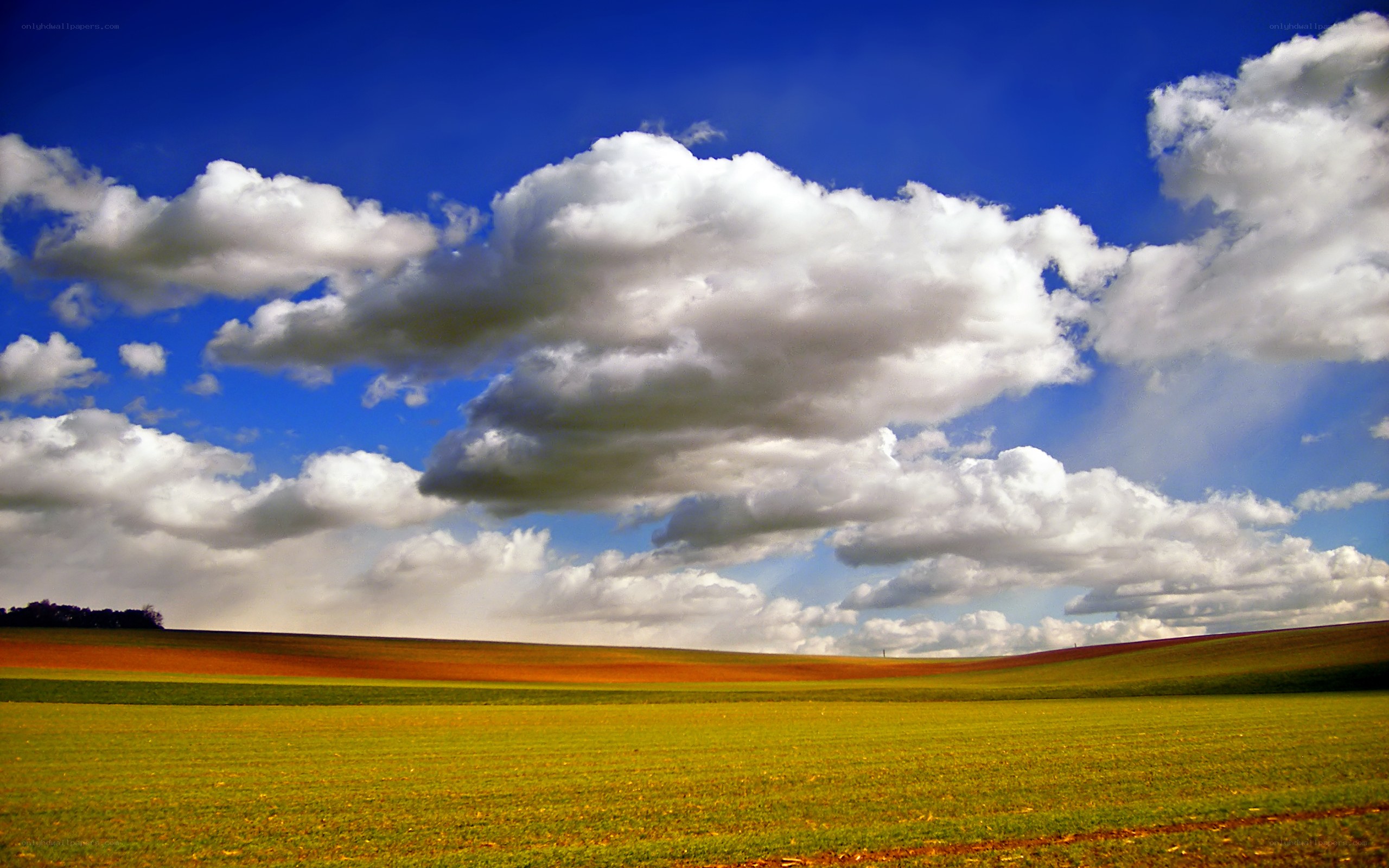Fields under a cloudy sky