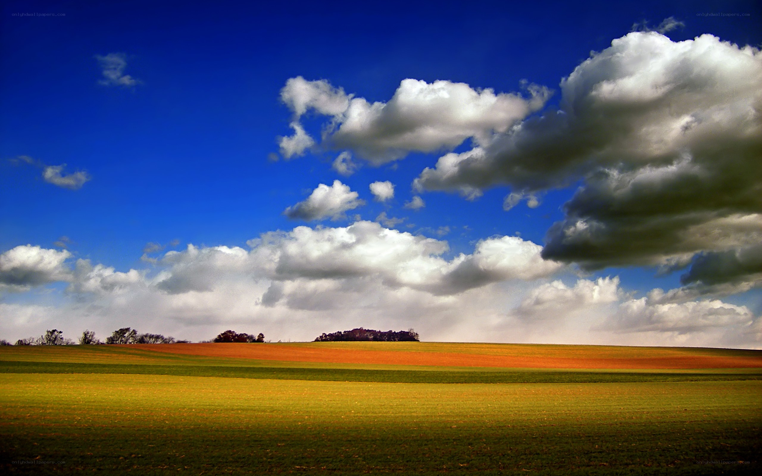 Fields under a cloudy sky