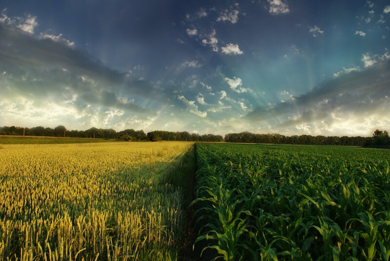 Fields under a dramatic sky
