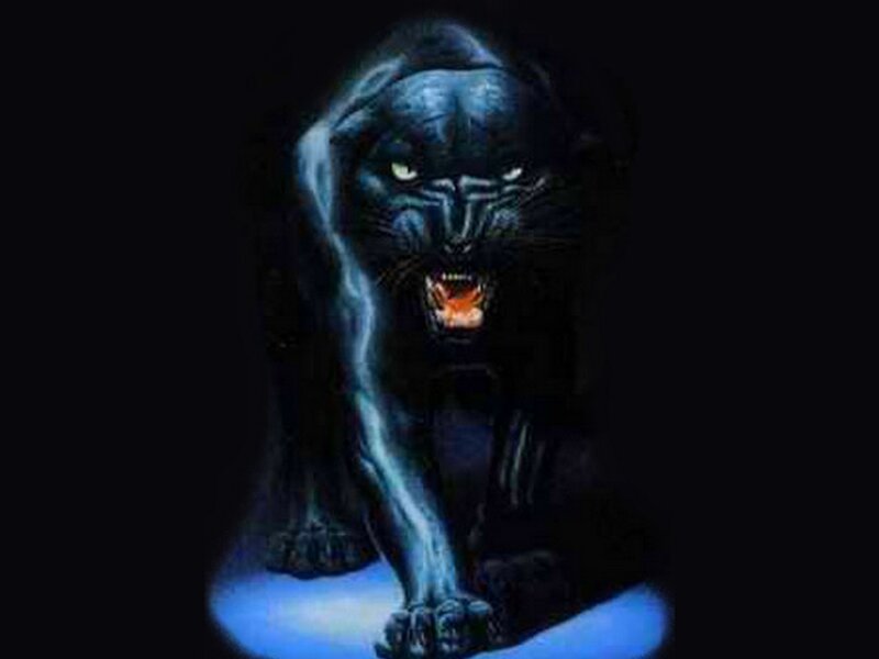fierce black panther illustration
