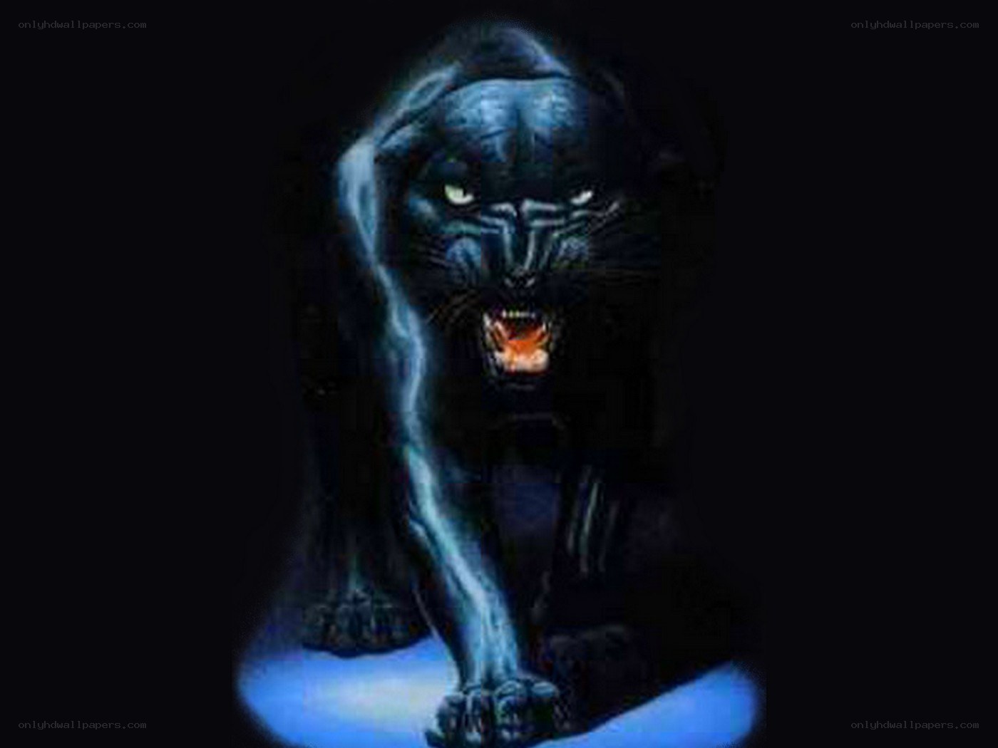 fierce black panther illustration