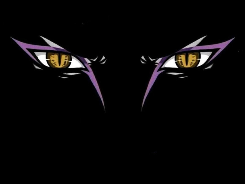 fierce eyes in the dark