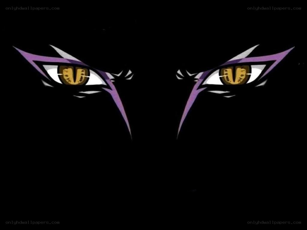 fierce eyes in the dark