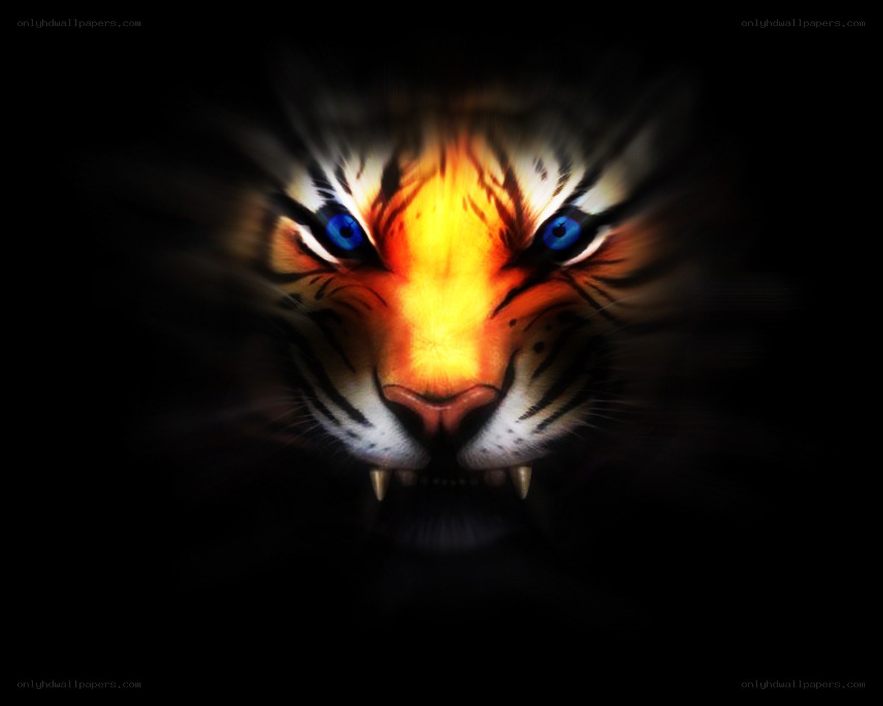 fierce tiger in darkness