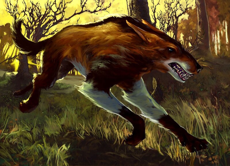 fierce wolf in forest