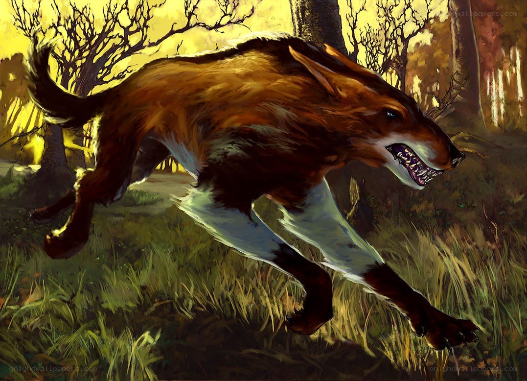 fierce wolf in forest