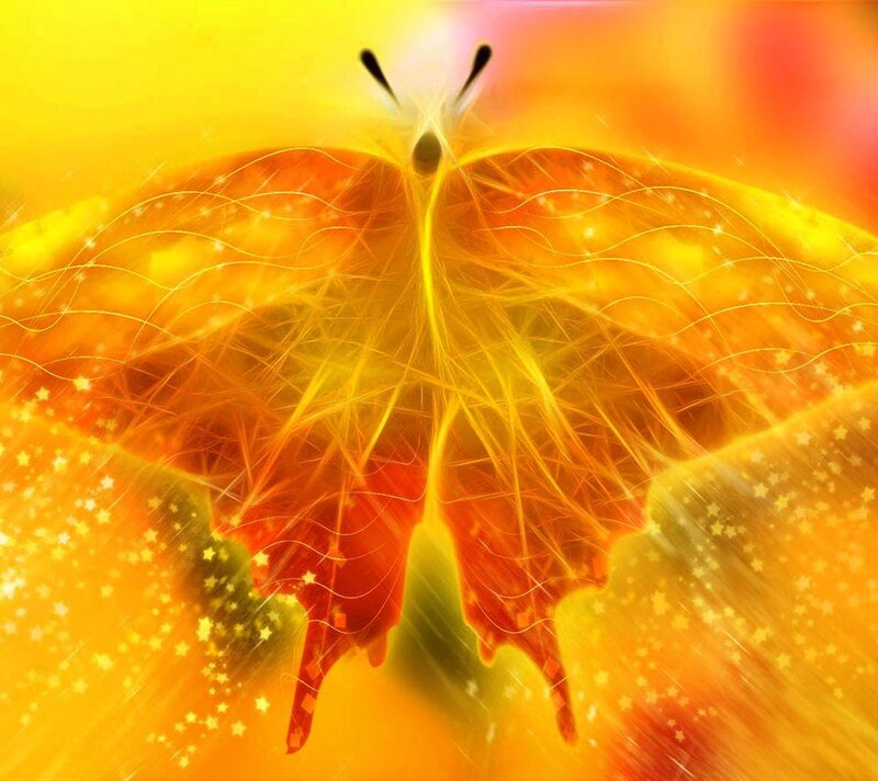 Fiery Butterfly