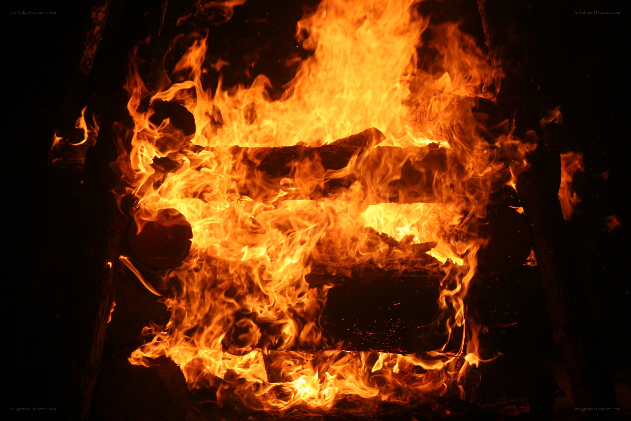 Fiery campfire at night