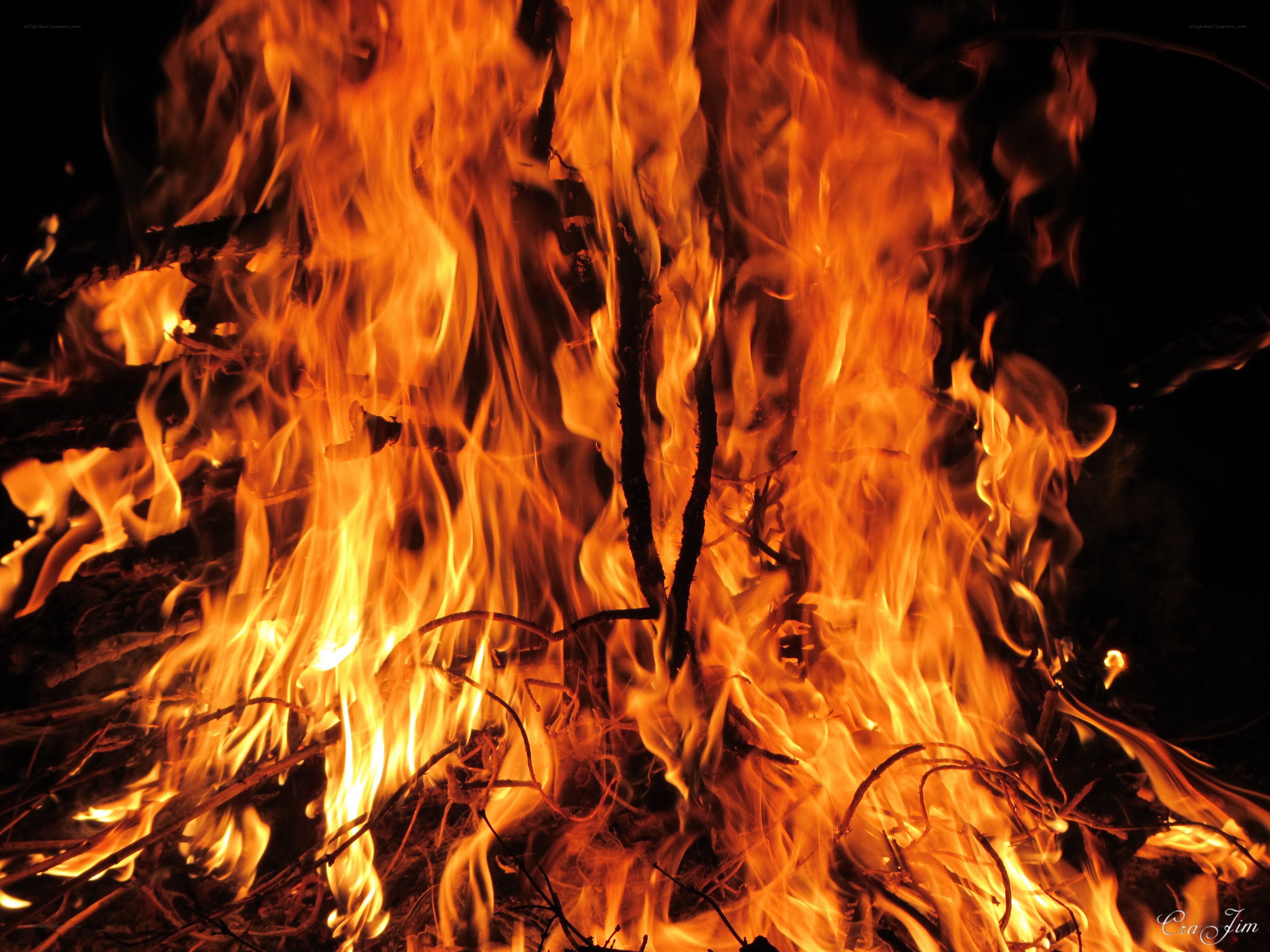 Fiery campfire at night