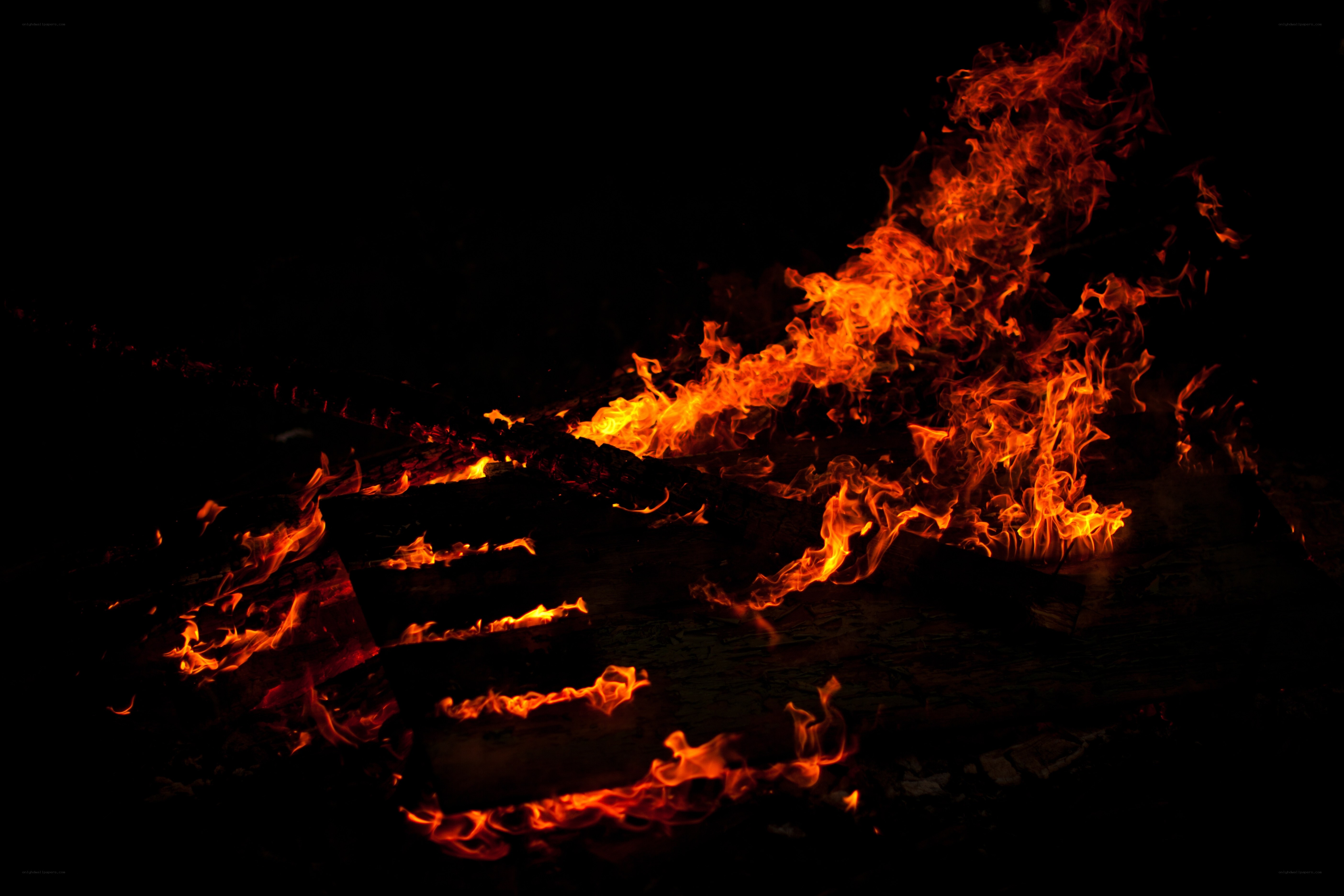 Fiery campfire at night