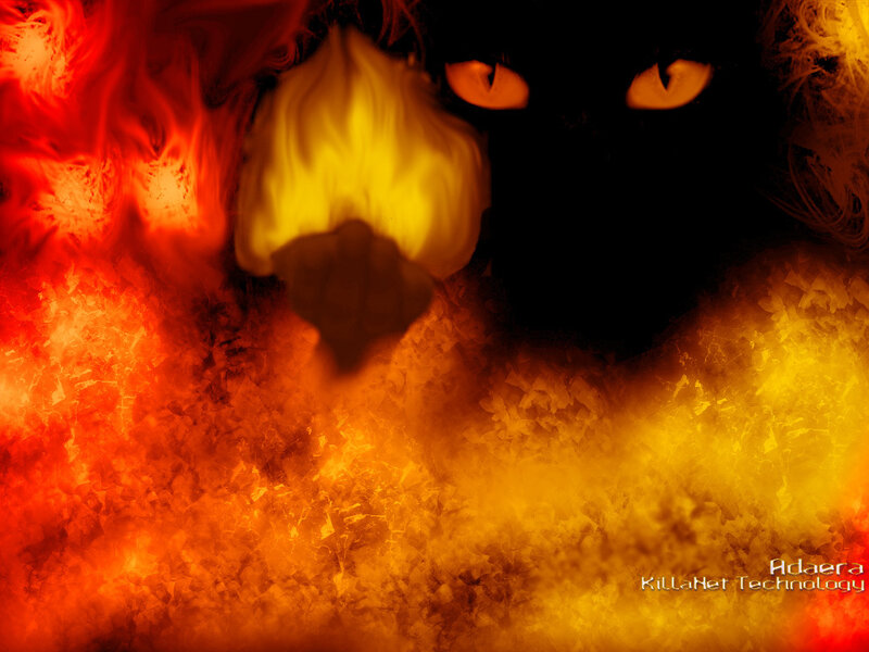 fiery cat eyes in darkness