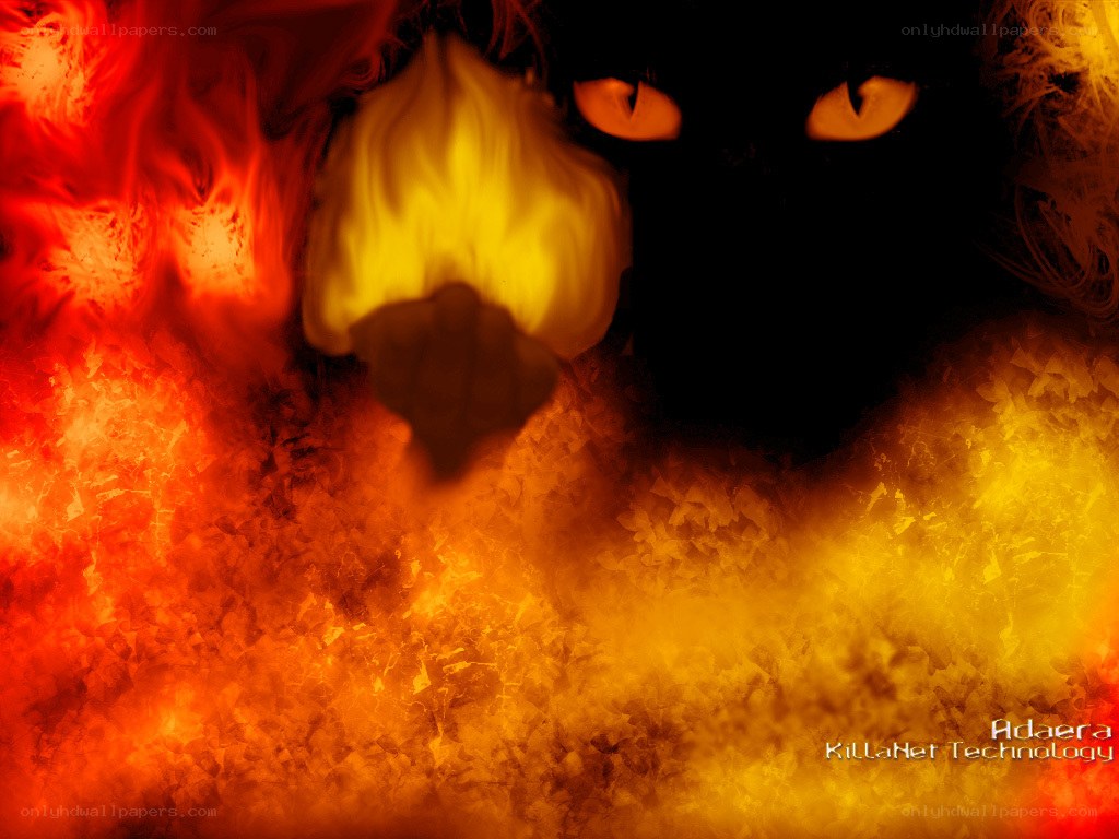 fiery cat eyes in darkness