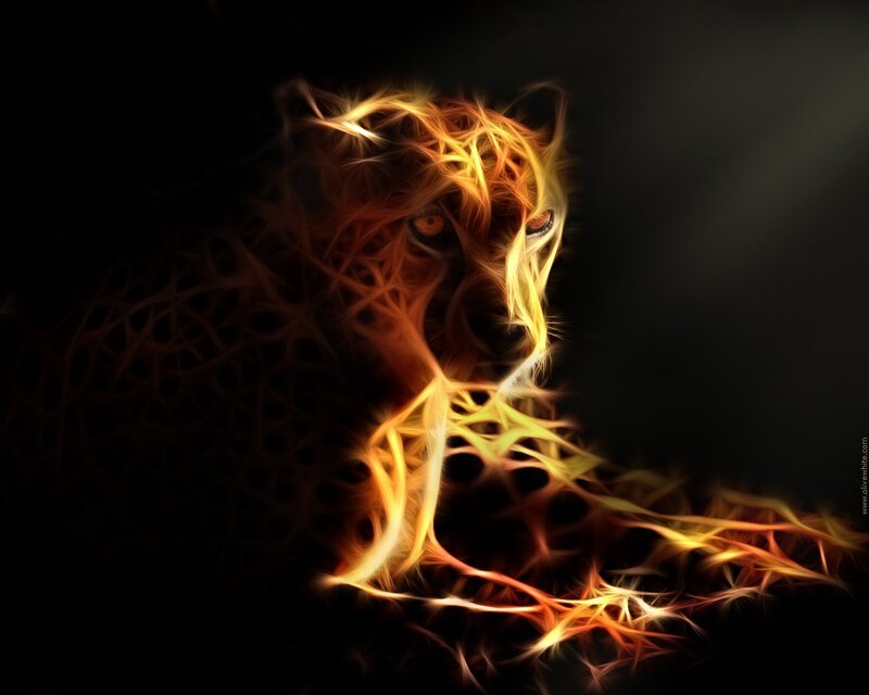fiery cheetah portrait