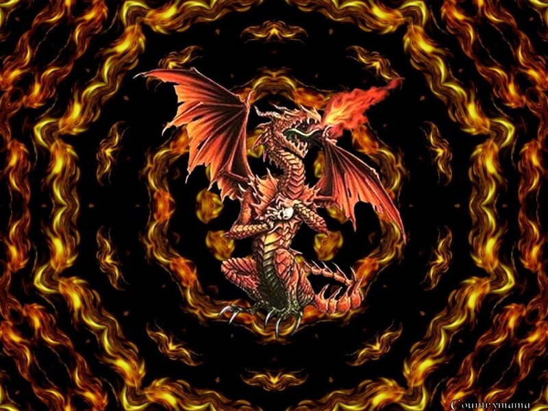 fiery dragon in flames