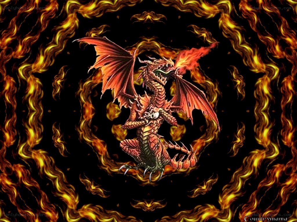fiery dragon in flames