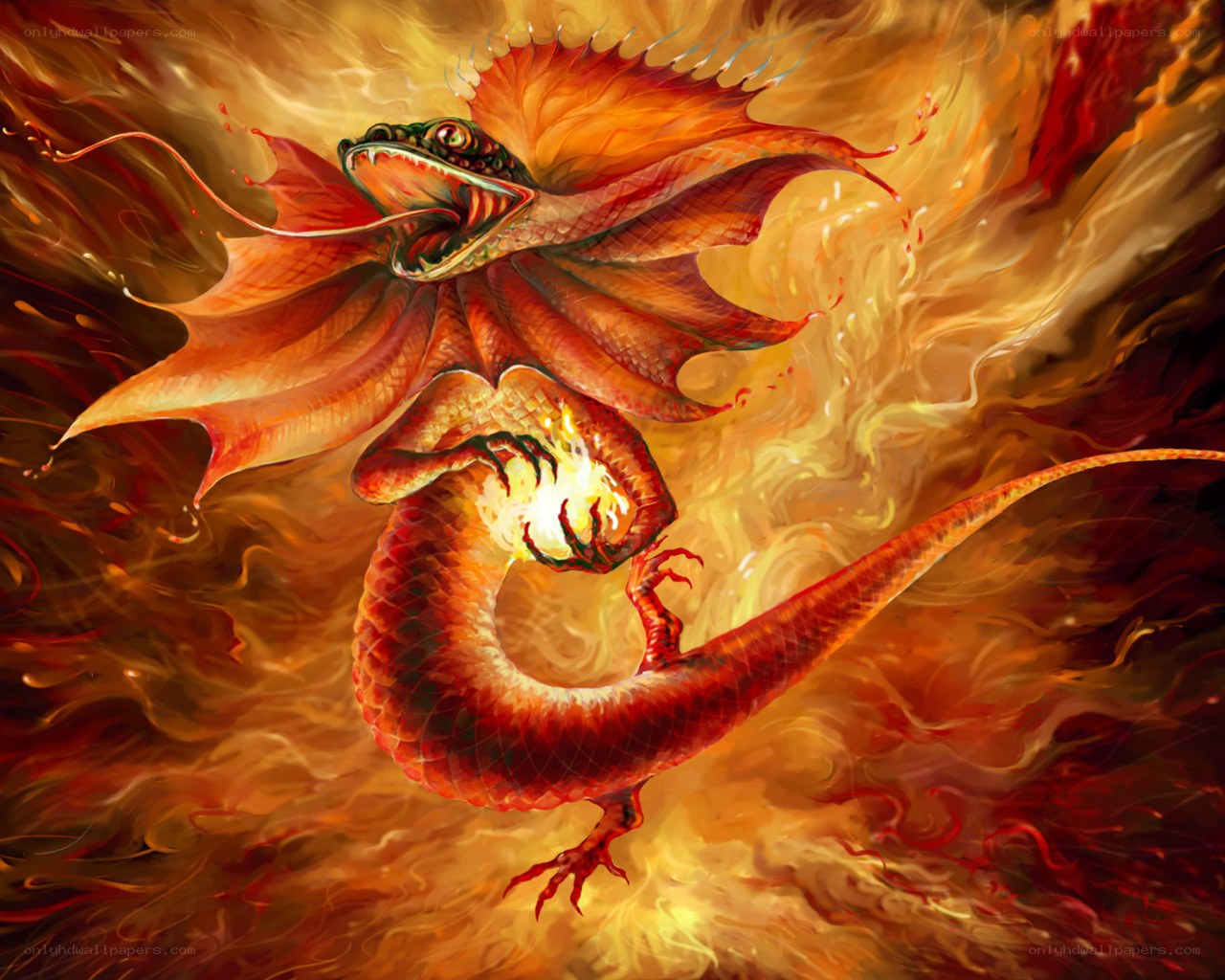 fiery dragon in flight