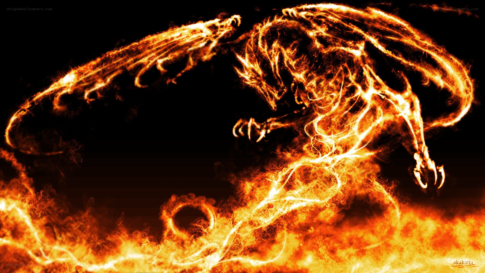 fiery dragon in motion