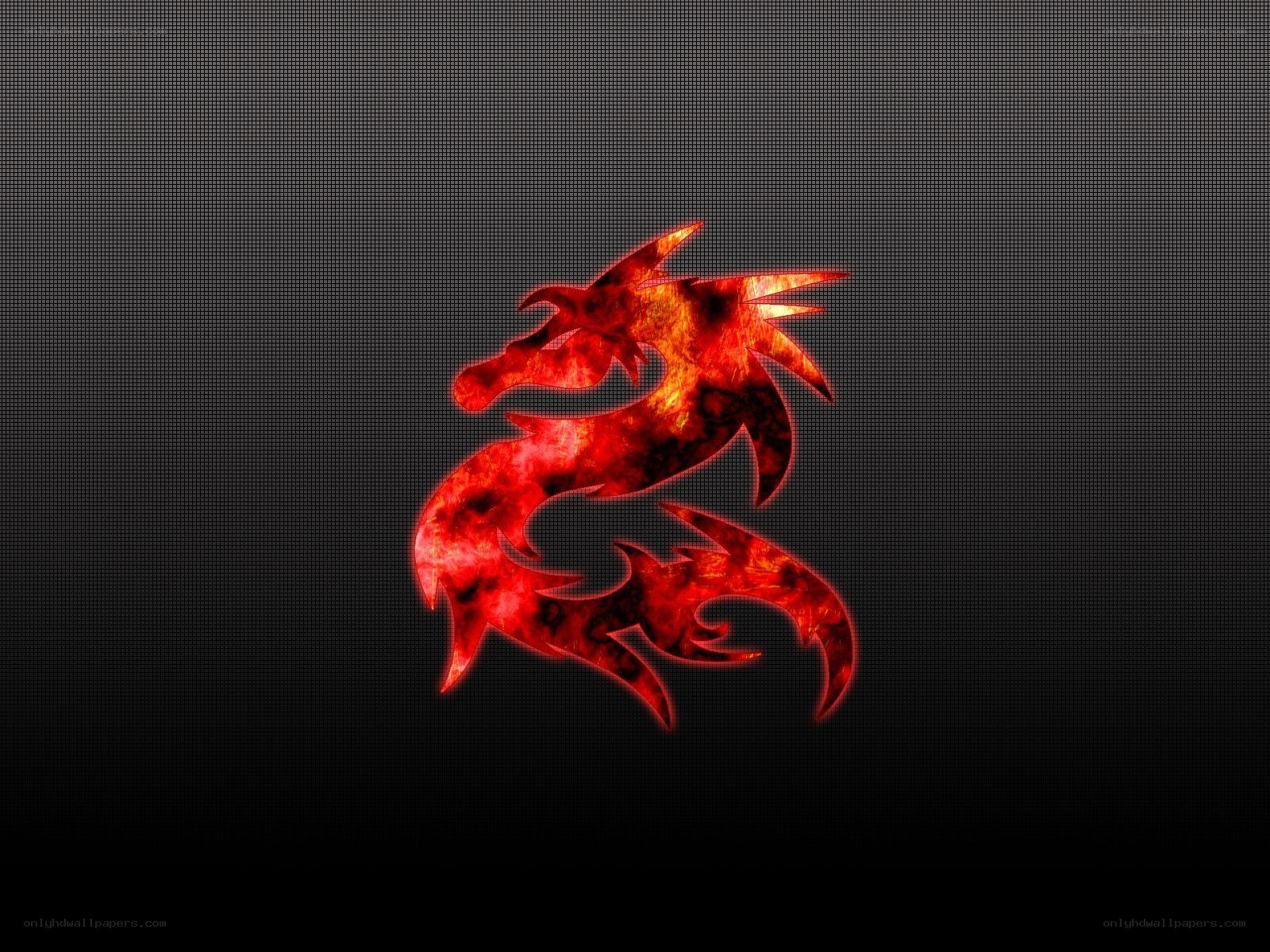 fiery dragon logo