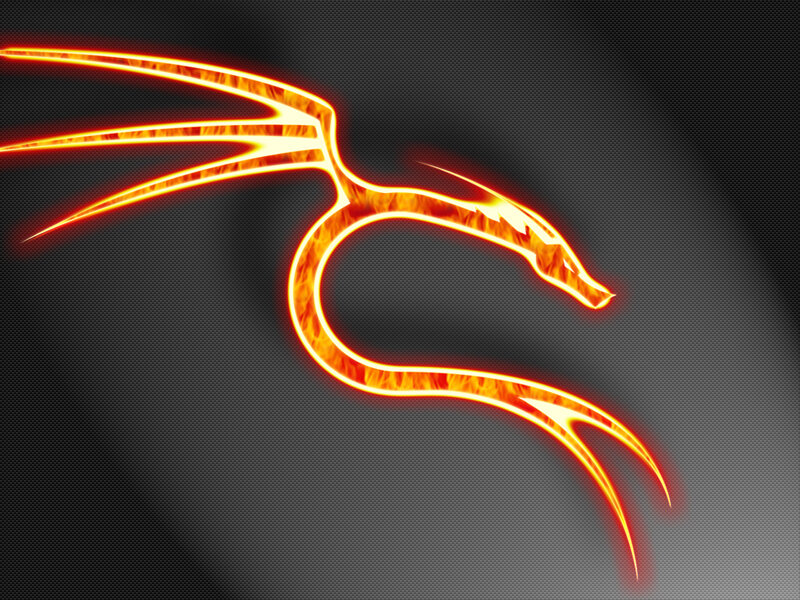 fiery dragon logo