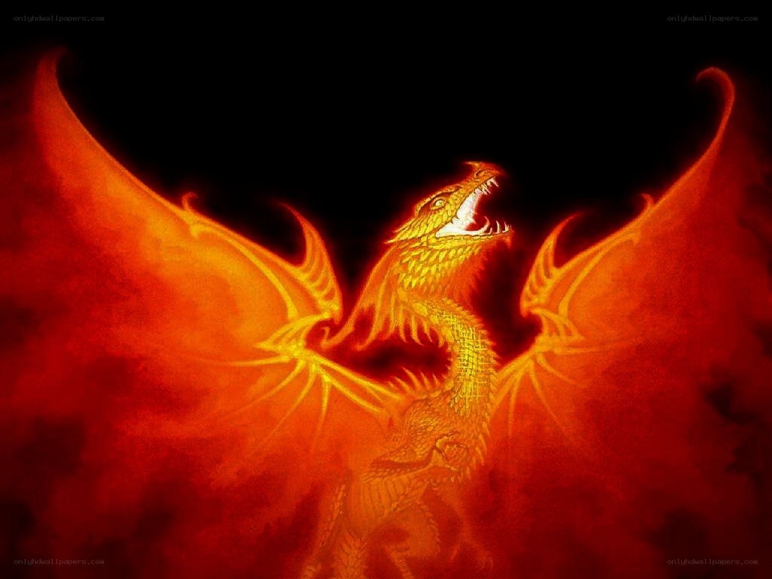 fiery dragon with wings spread