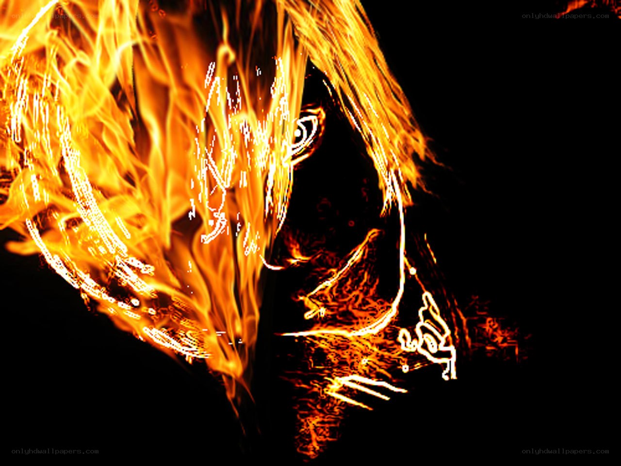 fiery face silhouette