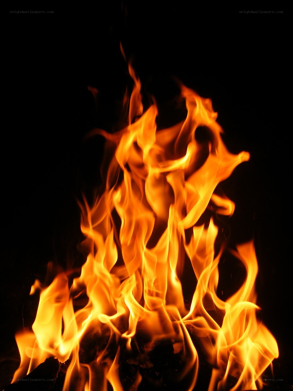 Fiery flames against black background