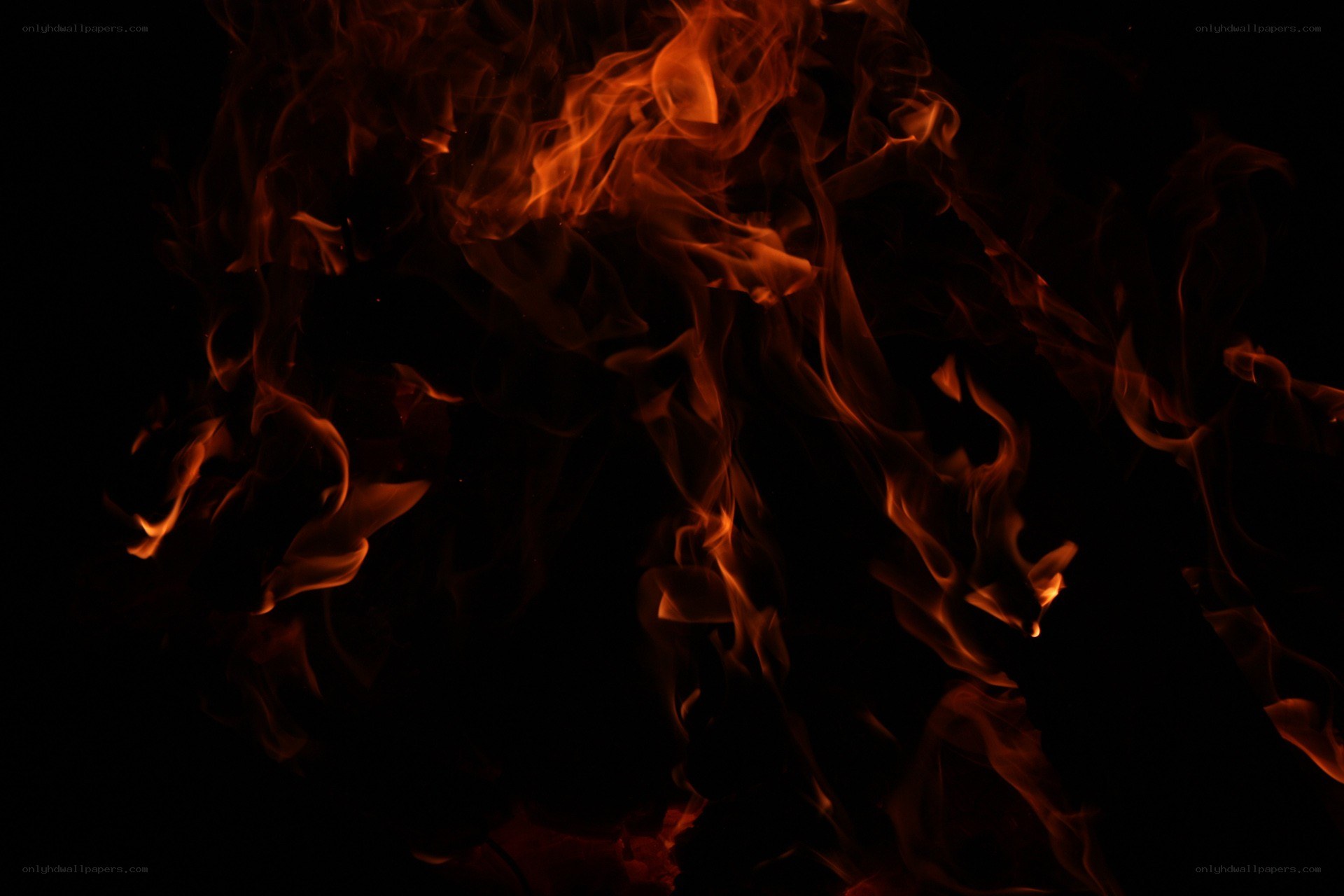 Fiery flames against black background